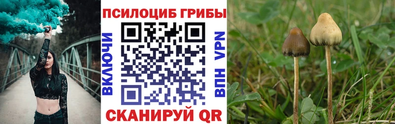 Псилоцибиновые грибы ЛСД Грязовец