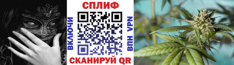 МАРИХУАНА сатива  Грязовец 